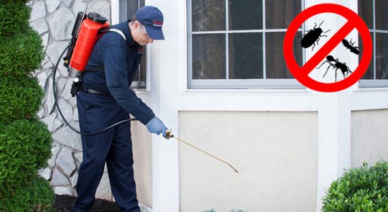 Mutki Gümüşkurt İlaçlama böcek ilaçlama ve haşere kontrolü — ilaclama-tr.com
